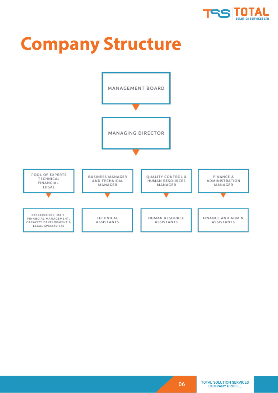 TSS company structure chart