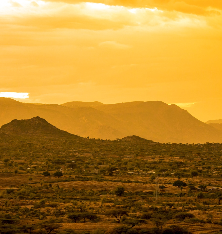 TSS profile landscape visual